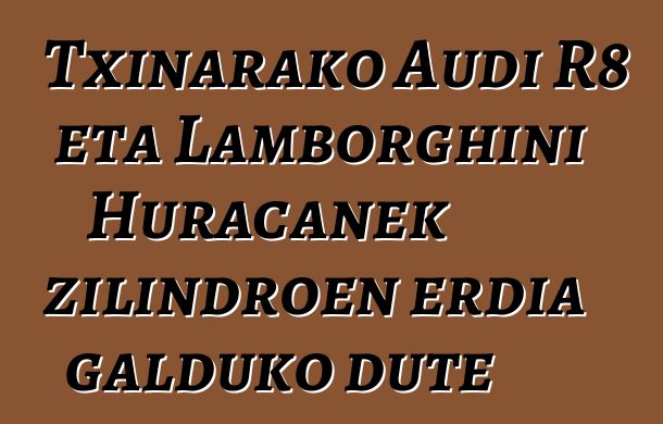 Txinarako Audi R8 eta Lamborghini Huracanek zilindroen erdia galduko dute