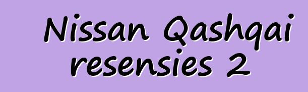 Nissan Qashqai resensies 2
