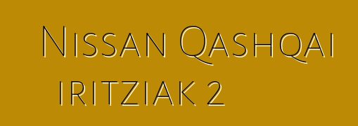 Nissan Qashqai iritziak 2