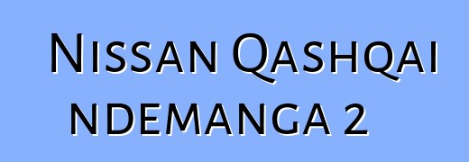 Nissan Qashqai ndemanga 2