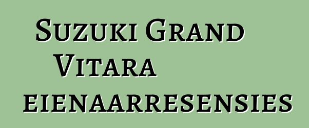 Suzuki Grand Vitara eienaarresensies