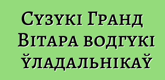 Сузукі Гранд Вітара водгукі ўладальнікаў