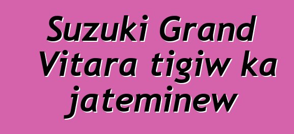 Suzuki Grand Vitara tigiw ka jateminɛw