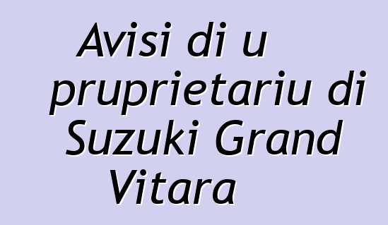 Avisi di u pruprietariu di Suzuki Grand Vitara