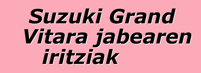 Suzuki Grand Vitara jabearen iritziak