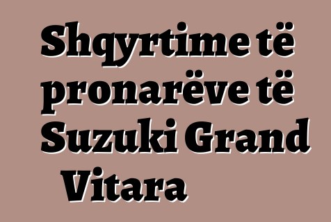 Shqyrtime të pronarëve të Suzuki Grand Vitara