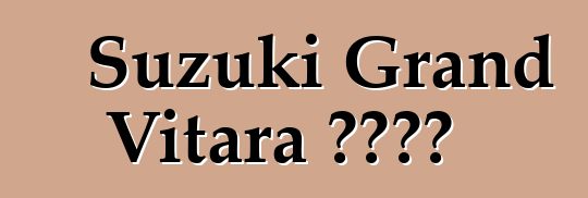 Suzuki Grand Vitara 车主评论