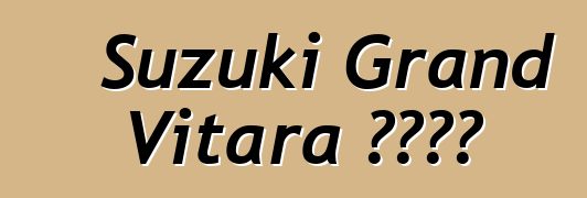 Suzuki Grand Vitara 車主評論
