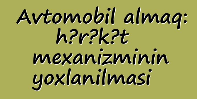 Avtomobil almaq: hərəkət mexanizminin yoxlanılması