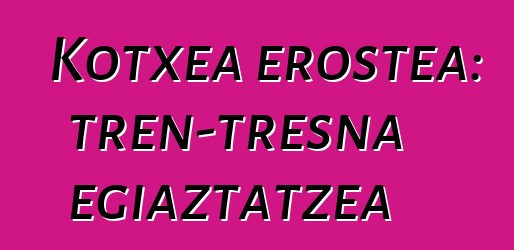 Kotxea erostea: tren-tresna egiaztatzea