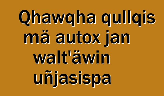 Qhawqha qullqis mä autox jan walt’äwin uñjasispa