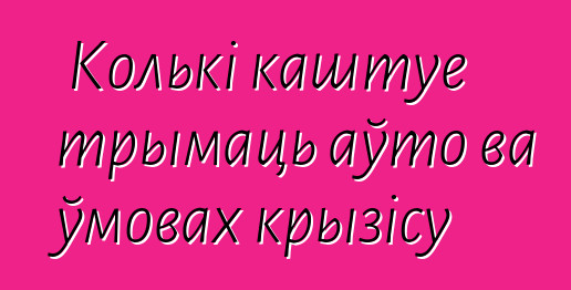 Колькі каштуе трымаць аўто ва ўмовах крызісу