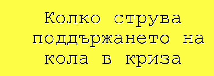 Колко струва поддържането на кола в криза