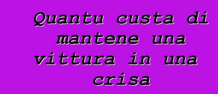 Quantu custa di mantene una vittura in una crisa
