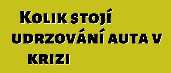 Kolik stojí udržování auta v krizi