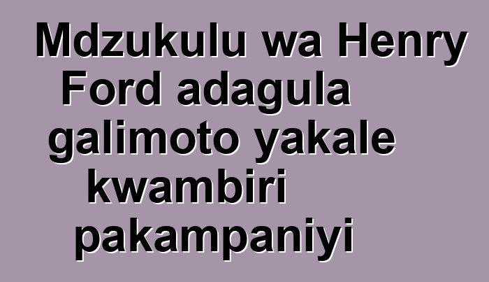 Mdzukulu wa Henry Ford adagula galimoto yakale kwambiri pakampaniyi