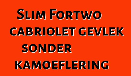 Slim Fortwo cabriolet gevlek sonder kamoeflering