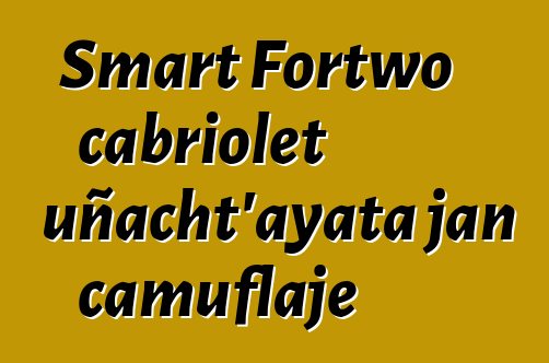 Smart Fortwo cabriolet uñacht’ayata jan camuflaje