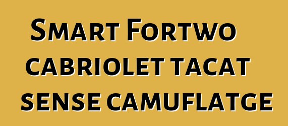 Smart Fortwo cabriolet tacat sense camuflatge