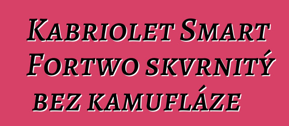 Kabriolet Smart Fortwo skvrnitý bez kamufláže