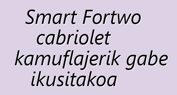 Smart Fortwo cabriolet kamuflajerik gabe ikusitakoa