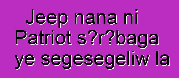 Jeep nana ni Patriot sɔrɔbaga ye sɛgɛsɛgɛliw la