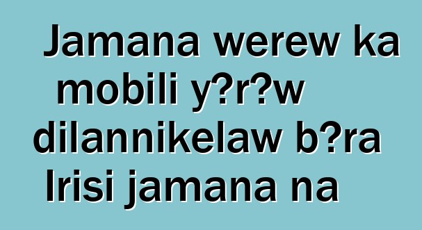 Jamana wɛrɛw ka mobili yɔrɔw dilannikɛlaw bɔra Irisi jamana na