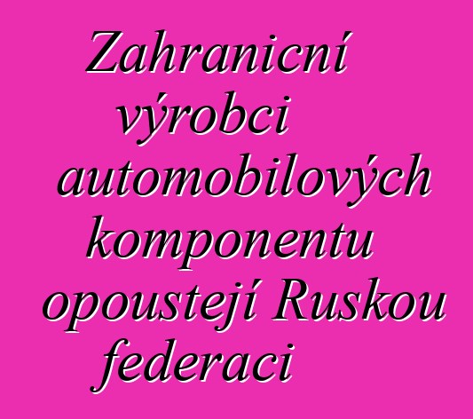Zahraniční výrobci automobilových komponentů opouštějí Ruskou federaci