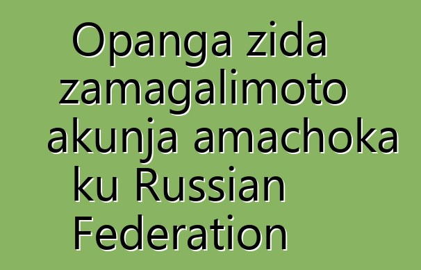 Opanga zida zamagalimoto akunja amachoka ku Russian Federation