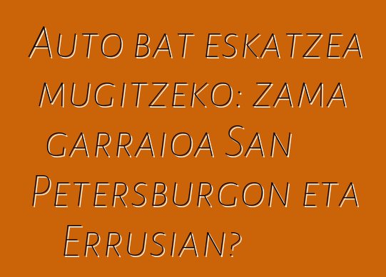 Auto bat eskatzea mugitzeko: zama garraioa San Petersburgon eta Errusian?