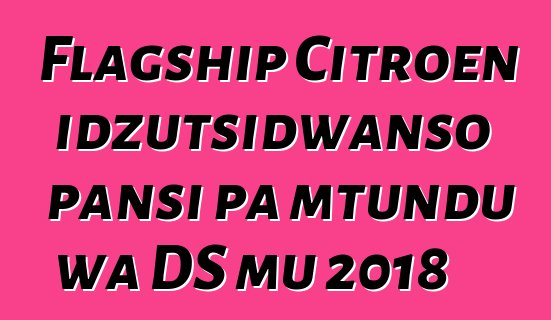 Flagship Citroen idzutsidwanso pansi pa mtundu wa DS mu 2018