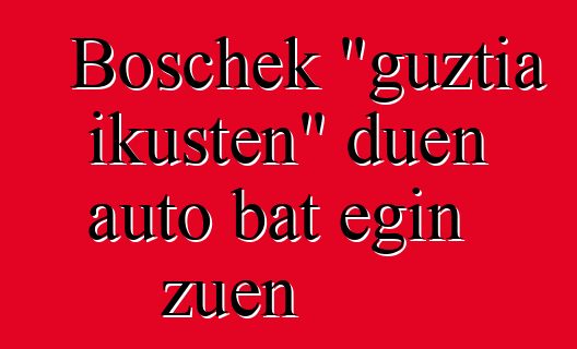 Boschek "guztia ikusten" duen auto bat egin zuen