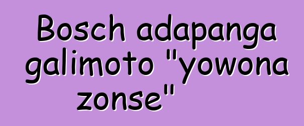 Bosch adapanga galimoto "yowona zonse"
