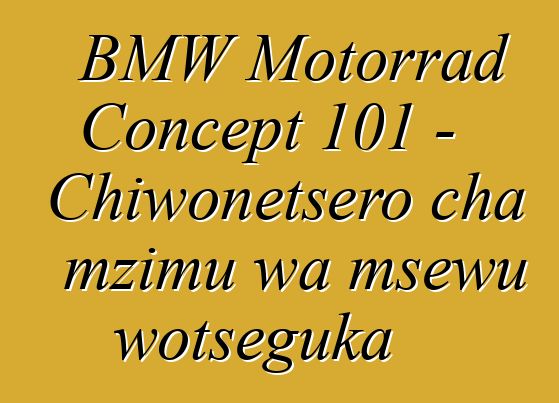 BMW Motorrad Concept 101 - Chiwonetsero cha mzimu wa msewu wotseguka