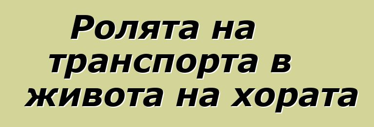Ролята на транспорта в живота на хората