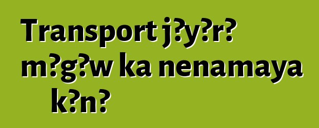 Transport jɔyɔrɔ mɔgɔw ka ɲɛnamaya kɔnɔ
