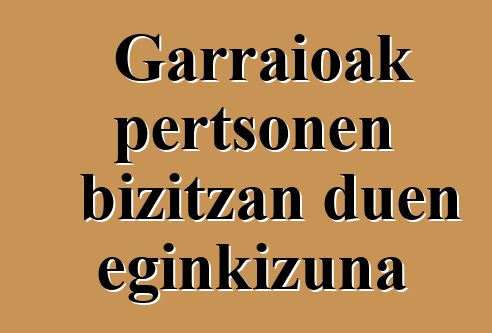 Garraioak pertsonen bizitzan duen eginkizuna