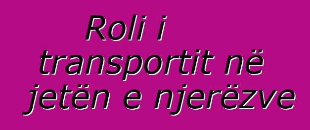 Roli i transportit në jetën e njerëzve