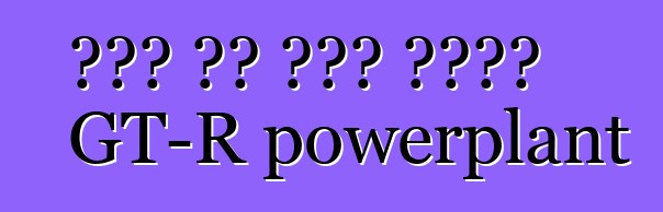 ኒሳን ስለ አዲሱ ትውልድ GT-R powerplant