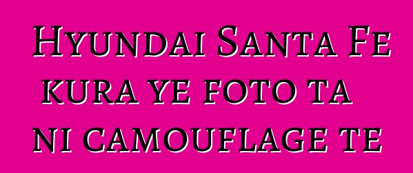 Hyundai Santa Fe kura ye foto ta ni camouflage tɛ