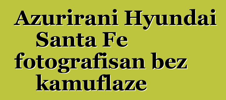 Ažurirani Hyundai Santa Fe fotografisan bez kamuflaže