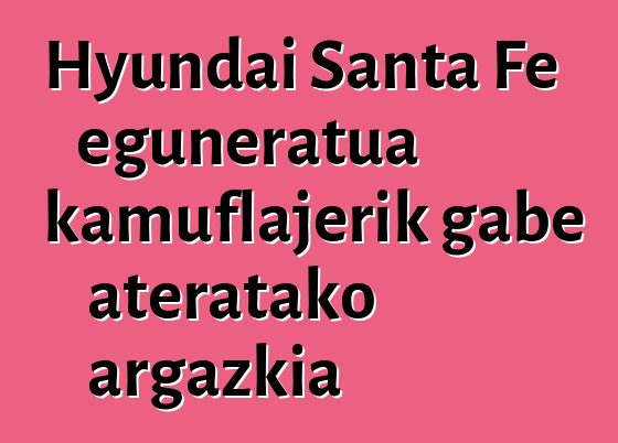 Hyundai Santa Fe eguneratua kamuflajerik gabe ateratako argazkia