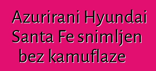 Ažurirani Hyundai Santa Fe snimljen bez kamuflaže