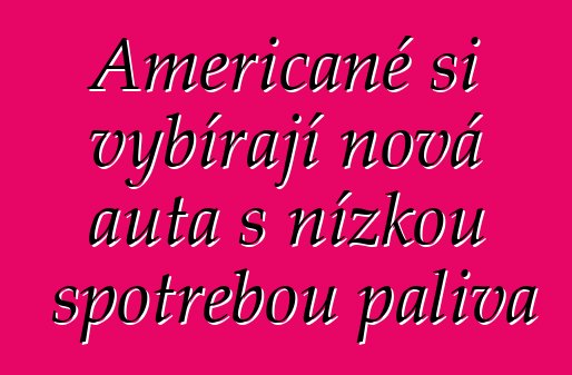 Američané si vybírají nová auta s nízkou spotřebou paliva