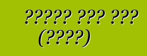 ማንሃይም አውቶ ጨረታ (አሜሪካ)