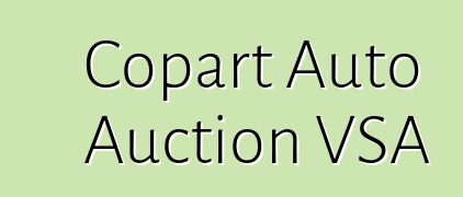 Copart Auto Auction VSA