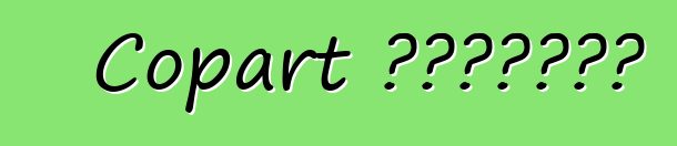 Copart 美國汽車拍賣會