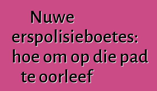 Nuwe verkeerspolisieboetes: hoe om op die pad te oorleef