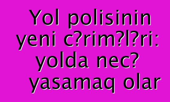 Yol polisinin yeni cərimələri: yolda necə yaşamaq olar