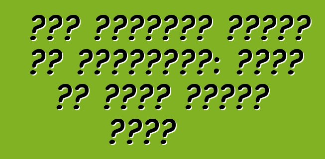 नया ट्रैफिक पुलिस के जुर्माना: सड़क पर कइसे जिंदा रहना